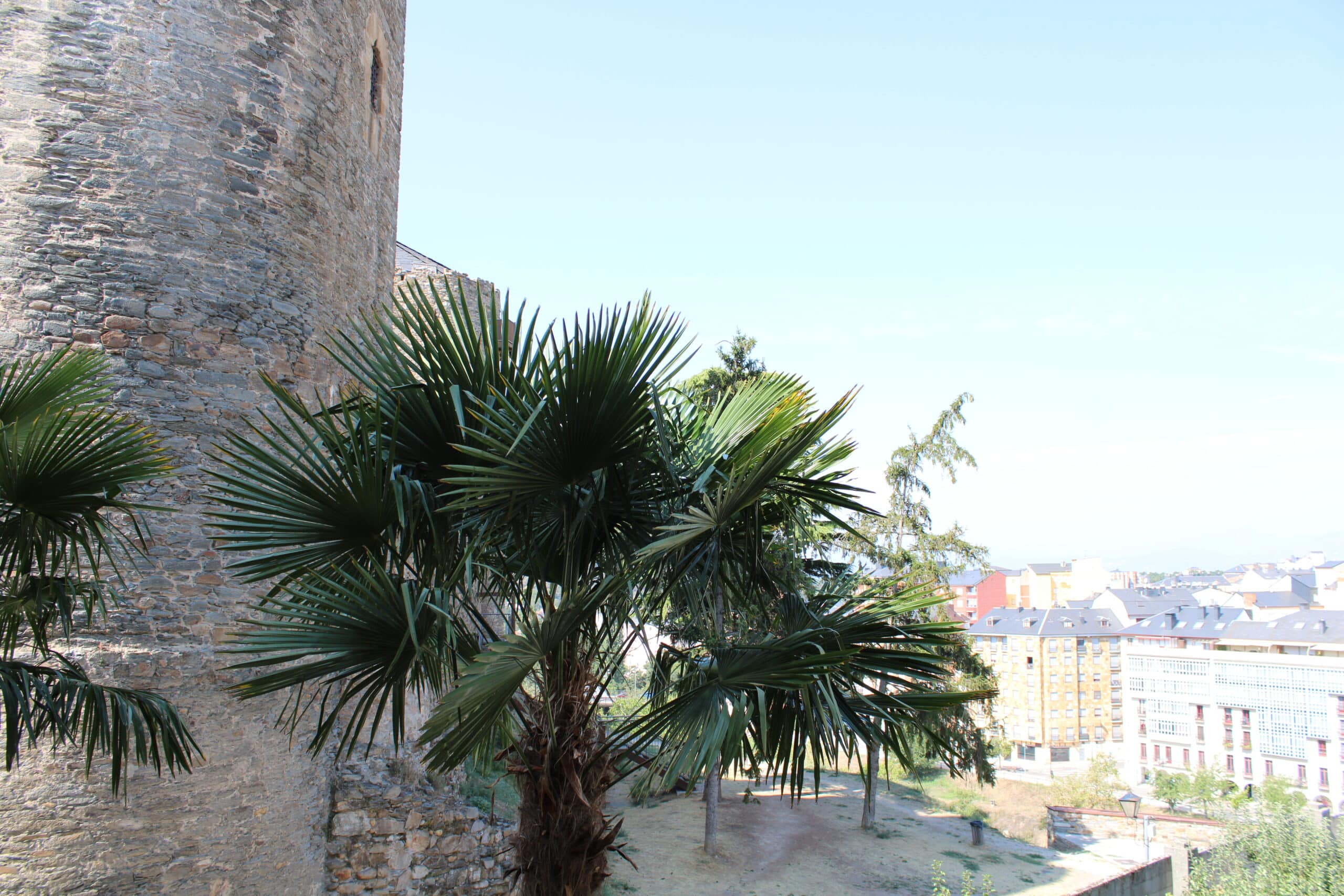 vistas desde la ventana de una habitacion de alojamiento rañadero